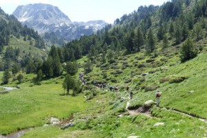 P1000956 (FILEminimizer)