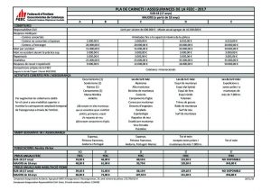 thumbnail of 51-2016-circular-feec-pla-de-carnets-2017-preus-anuals-sub-18-i-majors-1